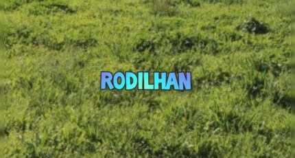 Rodilhan Terrain à bâtir - 1558184-3243annonce120230224ThsTO.jpeg Maisons Open
