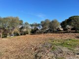  1560848-649annonce3202303085by0H.jpeg Maisons Open