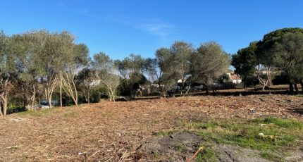 Hyères Terrain à bâtir - 1560848-649annonce3202303085by0H.jpeg Maisons Open