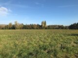  1560277-5804annonce120230307FK2ND.jpeg Maisons Open