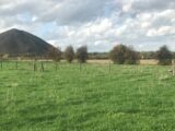  1560318-5804annonce120230307TLxda.jpeg Maisons Open