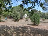  1562023-7058annonce320230309FhUFs.jpeg Maisons Open