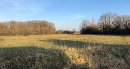 Tendu Terrain à bâtir - 1561844-809annonce220230309OAT0F.jpeg Maisons Open
