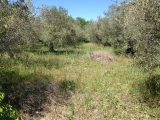 1561856-609annonce120230309ucZE7.jpeg Maisons Open