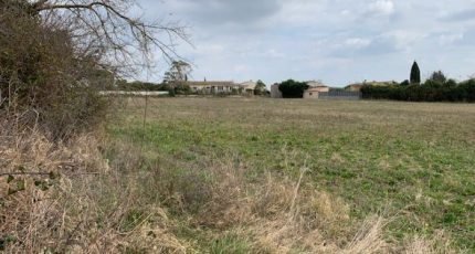 Aigues-Mortes Terrain à bâtir - 1561922-609annonce120230309ozBlT.jpeg Maisons Open