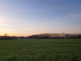  1560988-5993annonce120230308w9Nkc.jpeg Maisons Open