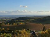  1560988-5993annonce220230308iAcis.jpeg Maisons Open