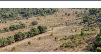 Narbonne Terrain à bâtir - 1562407-3971annonce120221108eaThy.jpeg Maisons Open