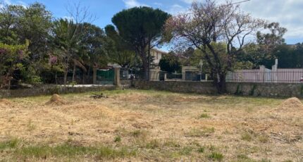 Toulon Terrain à bâtir - 1563276-5622annonce120230313LhsCd.jpeg Maisons Open