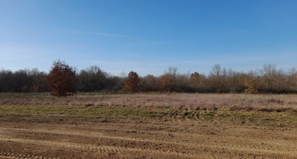 Lherm Terrain à bâtir - 1562968-6043annonce220230310Qsal0.jpeg Maisons Open