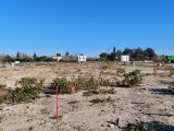  1563787-4667annonce120230314fgU63.jpeg Maisons Open