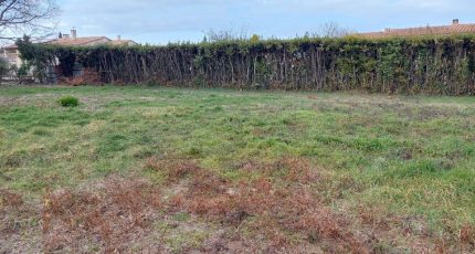 Maillane Terrain à bâtir - 1564567-4667annonce120230314oUGz1.jpeg Maisons Open