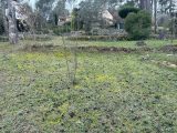  1563601-4832annonce120230313Ch8FU.jpeg Maisons Open