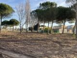  1563416-3243annonce220230313mOvQ1.jpeg Maisons Open