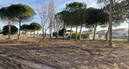 Aigues-Mortes Terrain à bâtir - 1563416-3243annonce220230313mOvQ1.jpeg Maisons Open