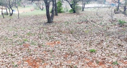 Roussillon Terrain à bâtir - 1564714-2970annonce320230315Pf1TW.jpeg Maisons Open