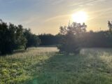  1566451-2699annonce120230316lMGRw.jpeg Maisons Open