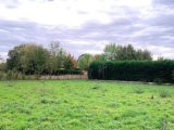  1565592-9764annonce1202303163eAGc.jpeg Maisons Open