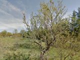 1565682-2970annonce220230316VwEIU.jpeg Maisons Open