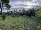  1565716-2970annonce120230316u7GWi.jpeg Maisons Open