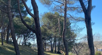 Aix-en-Provence Terrain à bâtir - 1567277-7060annonce420230323POzEx.jpeg Maisons Open
