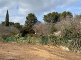 1569470-10095annonce120230321zCg0t.jpeg Maisons Open