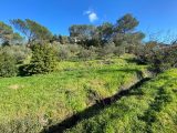  1569018-3912annonce2202303217ooBR.jpeg Maisons Open