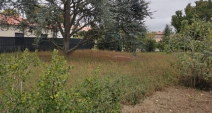 Toulouse Terrain à bâtir - 1484538-10327annonce120221201srgKX.jpeg Maisons Open