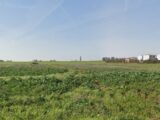  1486324-10327annonce120221205EBTTA.jpeg Maisons Open