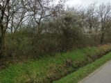  1486218-10327annonce120221205gVHbf.jpeg Maisons Open
