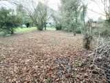  1517178-10063annonce220230118pBelA.jpeg Maisons Open