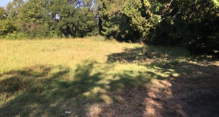 Charleval Terrain à bâtir - 1574451-3969annonce120230327FTcxJ.jpeg Maisons Open