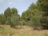  1574695-649annonce3202303273n211.jpeg Maisons Open