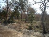  1574976-2970annonce2202303280wbkJ.jpeg Maisons Open
