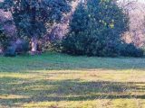  1575010-2970annonce320230328TB5oa.jpeg Maisons Open