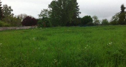 Cambrai Terrain à bâtir - 1575853-729annonce120230329GUXnV.jpeg Maisons Open