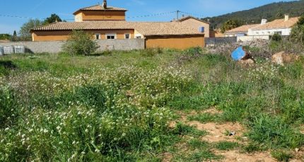 Pignans Terrain à bâtir - 1576112-10488annonce320230329BIdve.jpeg Maisons Open
