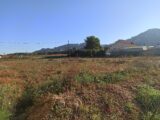  1576954-7054annonce220230330qi90H.jpeg Maisons Open