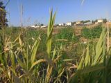  1576992-7054annonce120230330OQdBf.jpeg Maisons Open