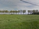  1570131-10327annonce120230322TBgrX.jpeg Maisons Open