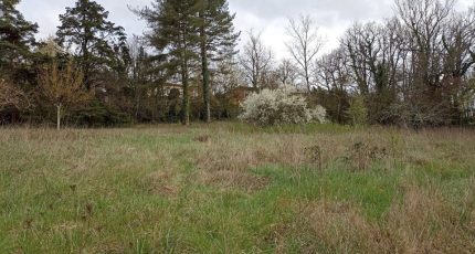 Lévignac Terrain à bâtir - 1575334-10327annonce220230328XmyLM.jpeg Maisons Open