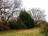  1575959-3575annonce120230329b3spc.jpeg Maisons Open