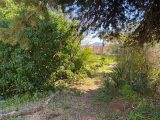  1578663-5622annonce1202303317lomB.jpeg Maisons Open