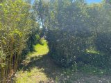  1578663-5622annonce220230331Qmk0l.jpeg Maisons Open