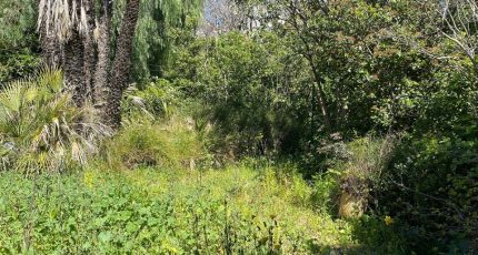 Toulon Terrain à bâtir - 1578663-5622annonce420230331dloXB.jpeg Maisons Open