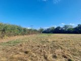  1579819-3133annonce320230403fW4BO.jpeg Maisons Open