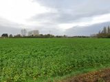  1580639-10063annonce120230404m5Imv.jpeg Maisons Open
