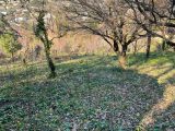  1581345-9911annonce320230405cTWS5.jpeg Maisons Open