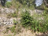 1578739-10488annonce420230331cQ4J0.jpeg Maisons Open