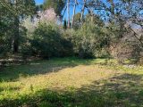  1583053-7080annonce120230407q2KWI.jpeg Maisons Open